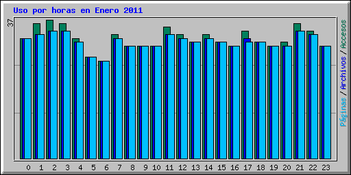 Uso por horas en Enero 2011